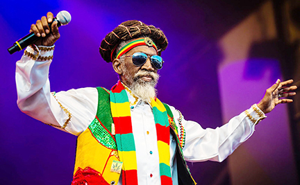 B2 Bunny-Wailer